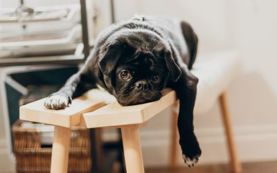 Why You Should Declare War On Lazy Writing