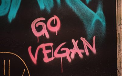 Marketing Lesson From Vegan Blockade