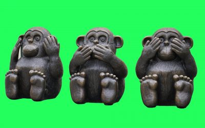 Marketing Lessons From Memes