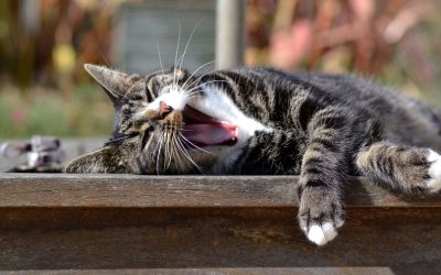 Stop Boring Potential Customers